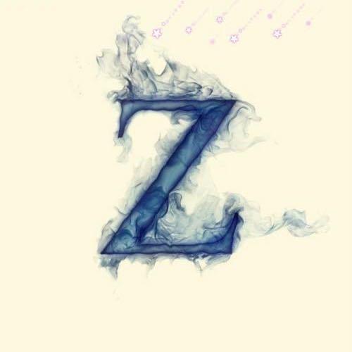 Z先生轻奢洗护馆