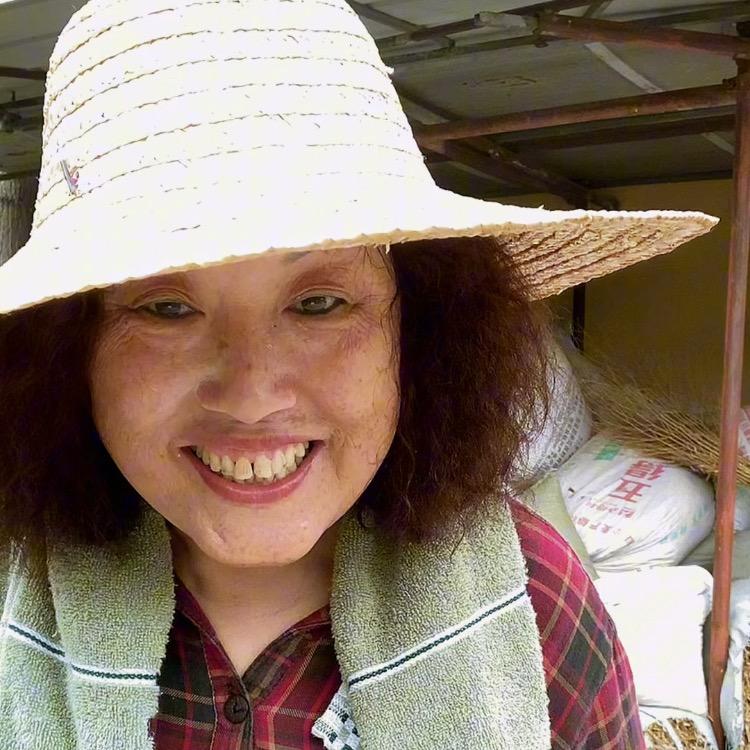 双凤姐妹花