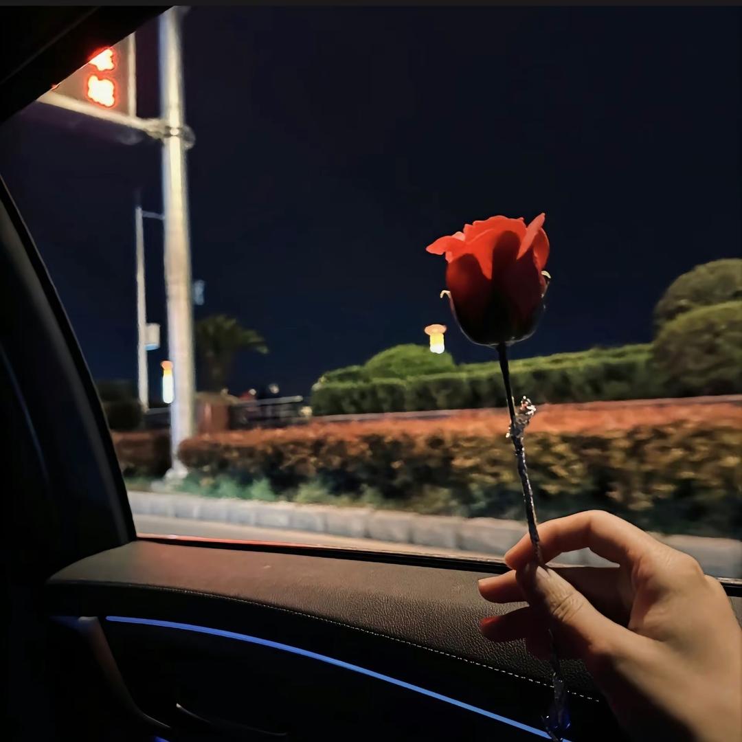 灯具经营部