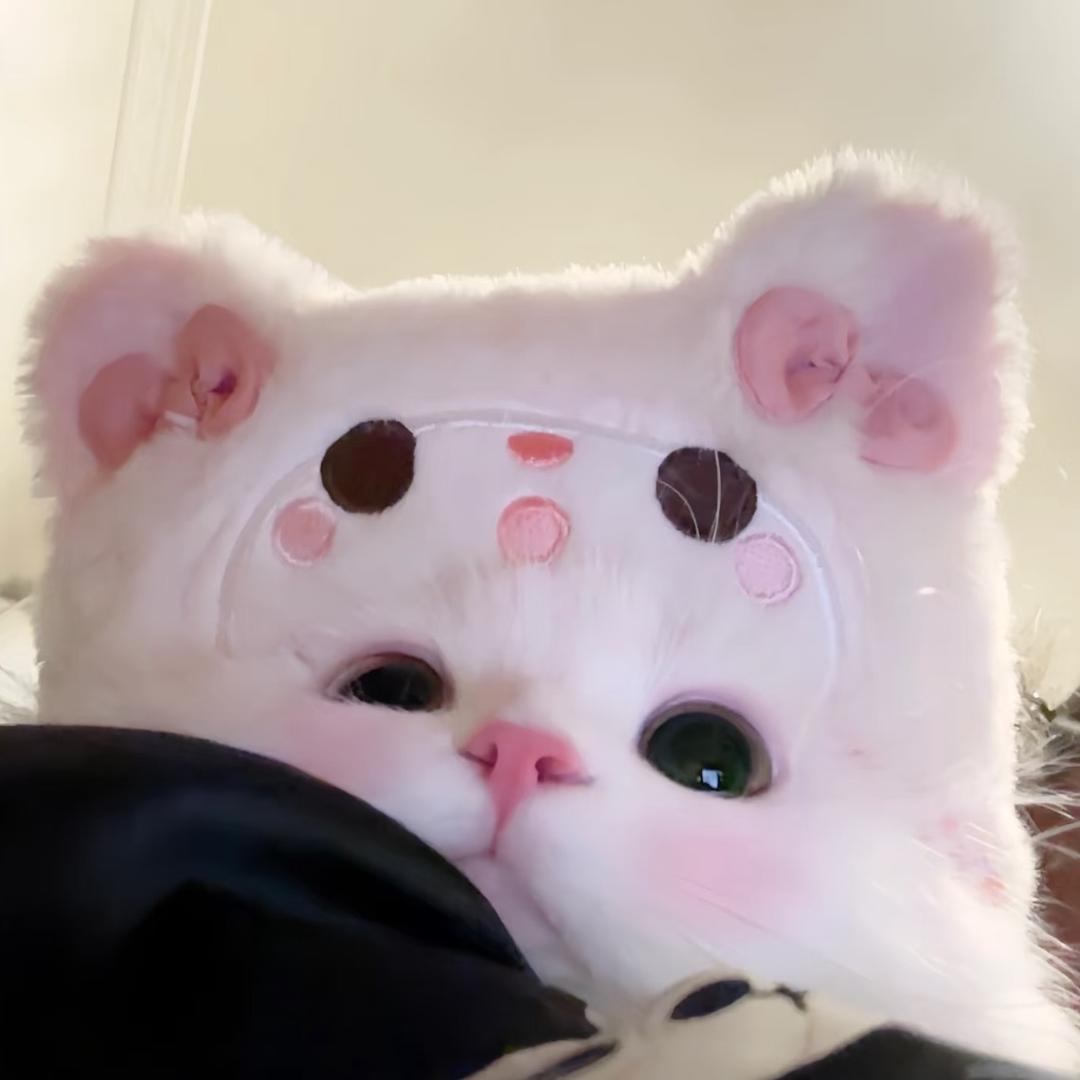 小怡丸噜