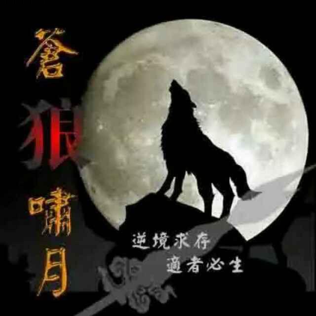 大漠血狼