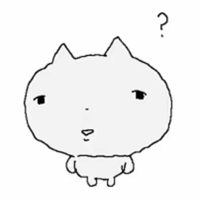粥粥代表
