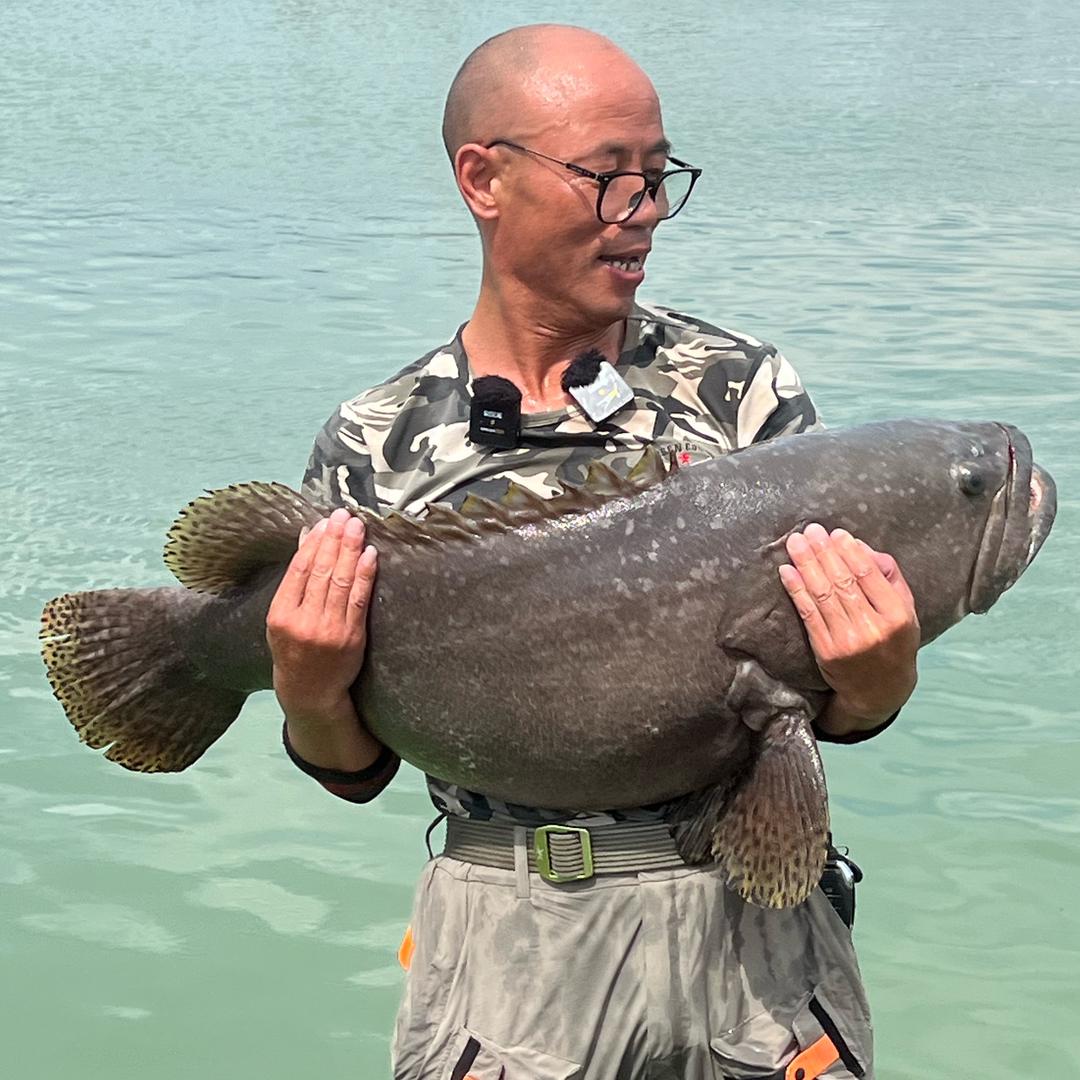 龙哥夹鱼