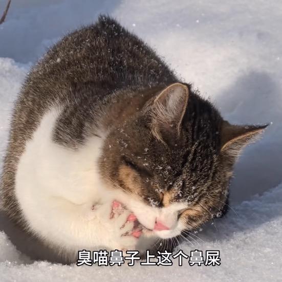 尸体暖暖的
