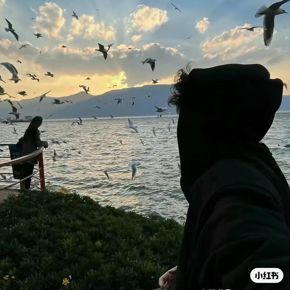 hhhhh