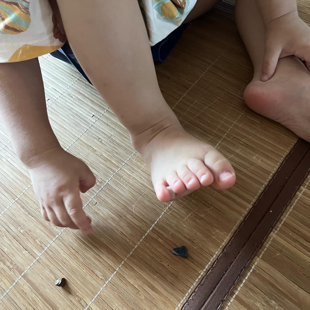夏小黑黑