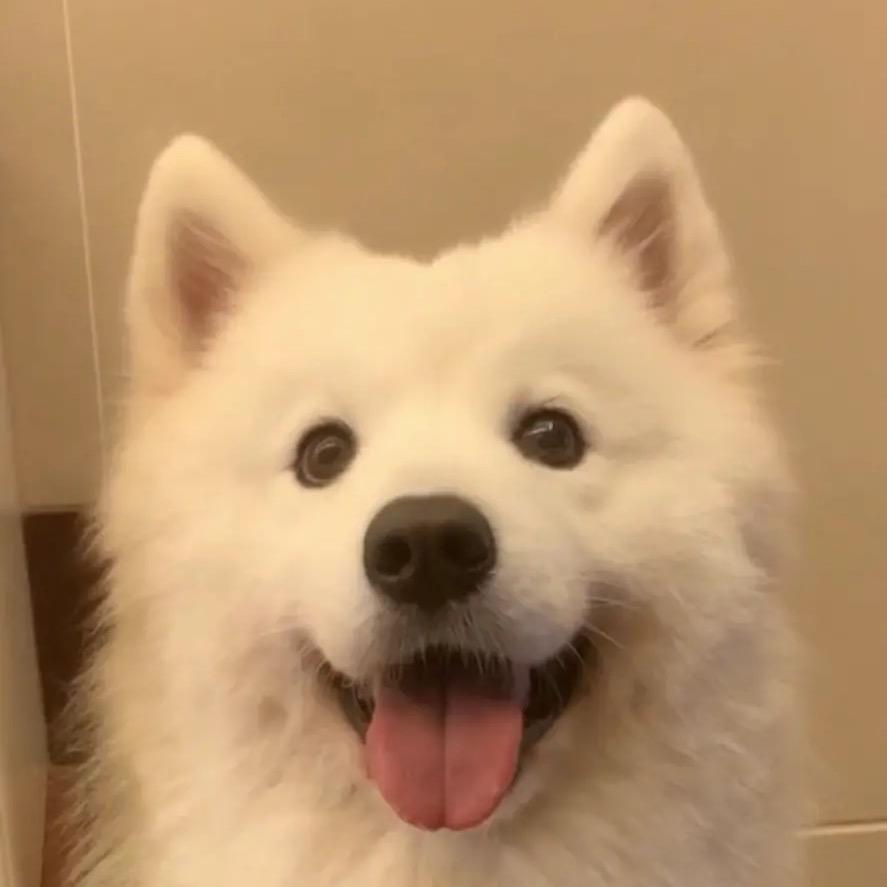 白白和ta的朋友们