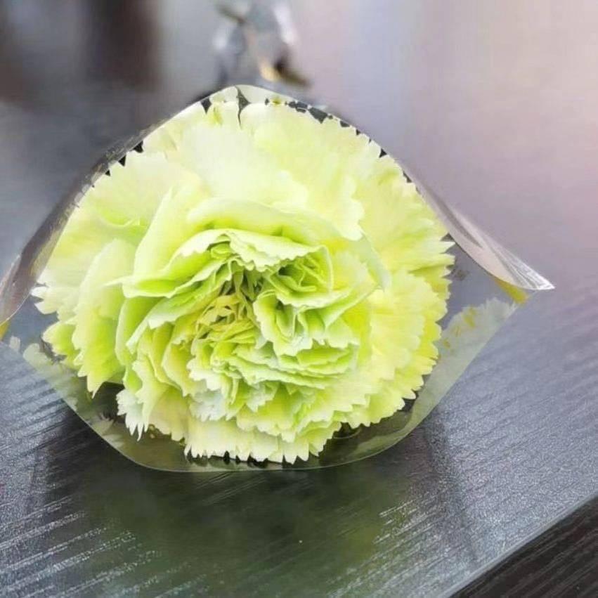 肖姐姐～