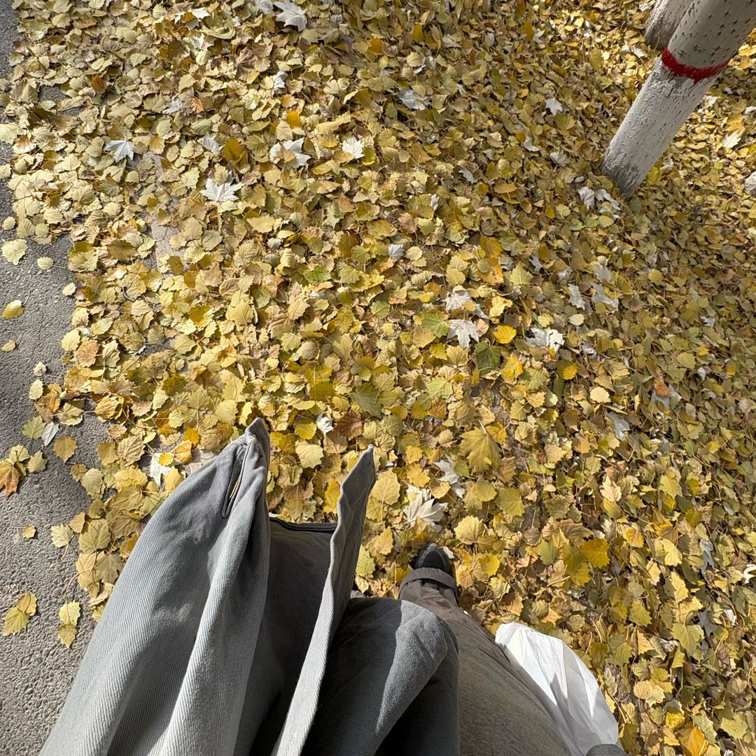 齐刘海保卫战