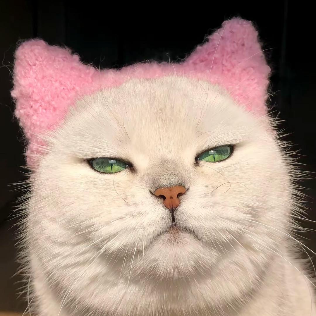 吱唔猪.
