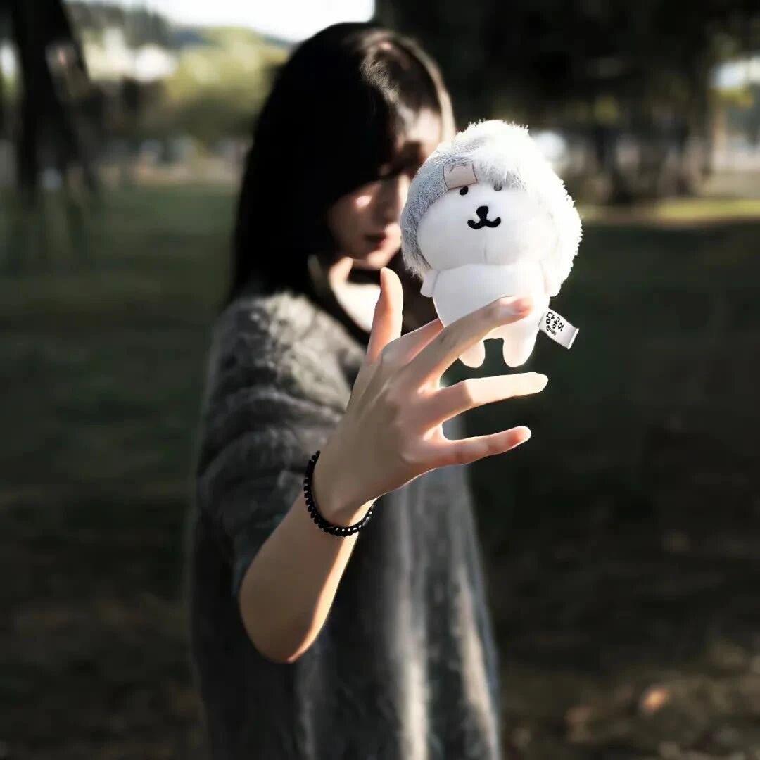 许七安（抗双相）