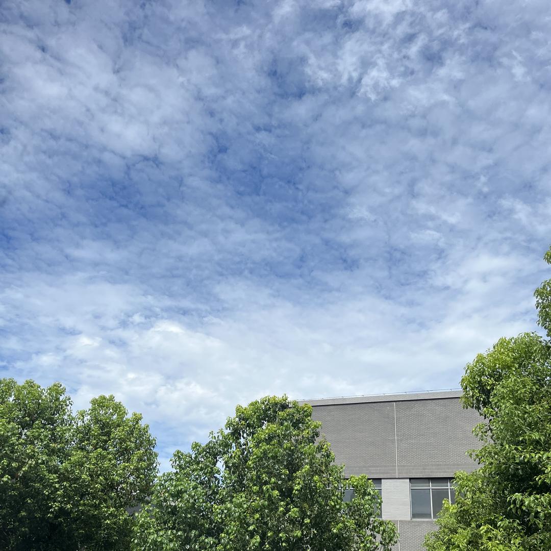 老金的养殖日常