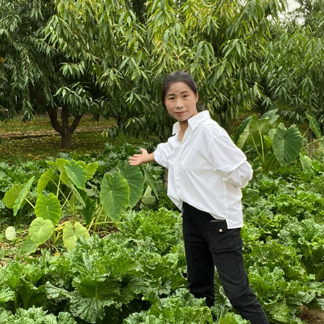 桃乡梦姐呀（秘典）