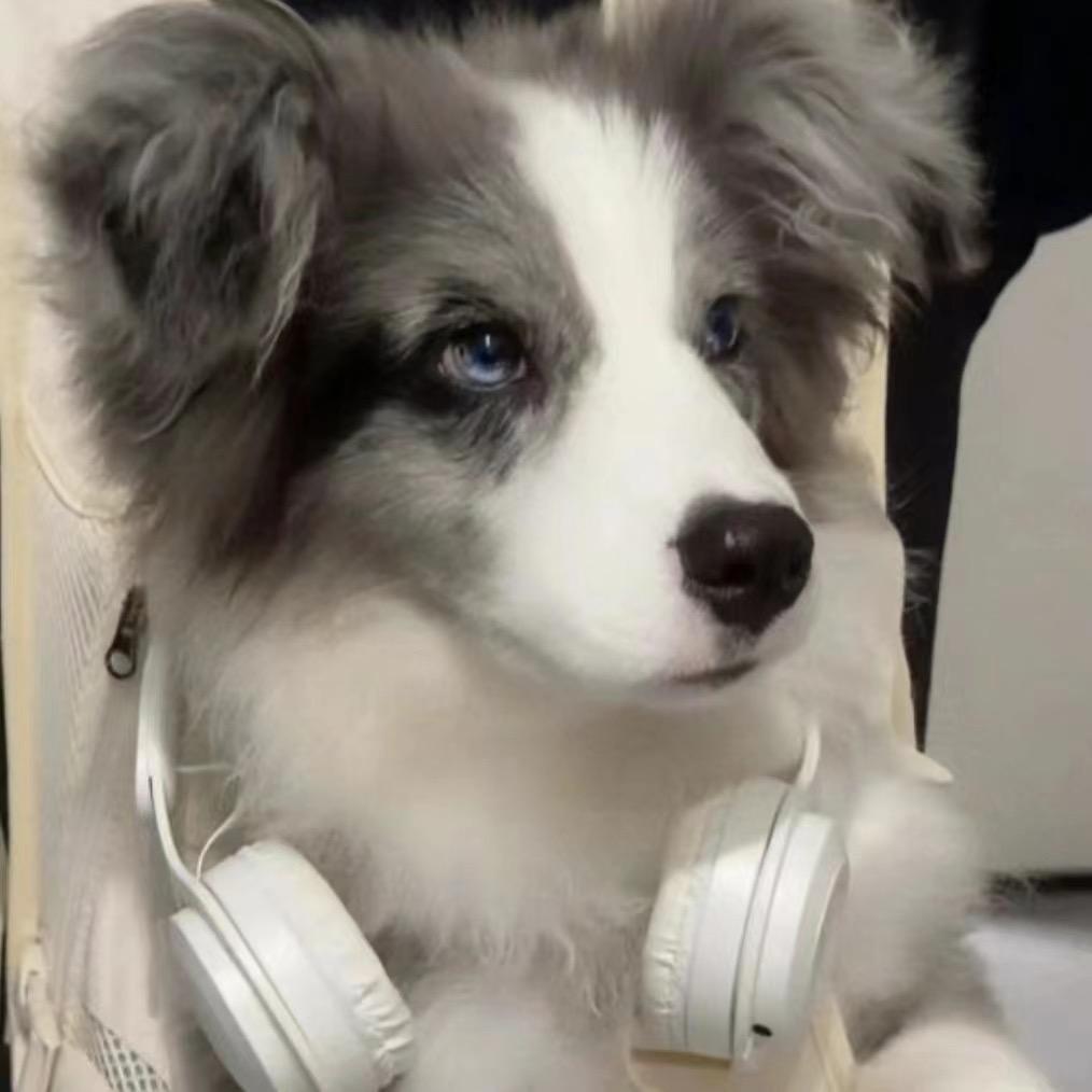 满船清梦压星河.