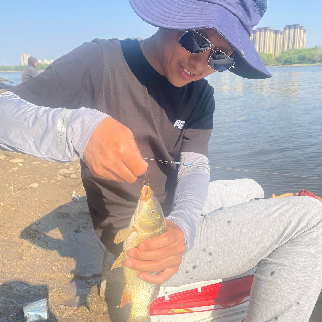 国家一级喂鱼大师