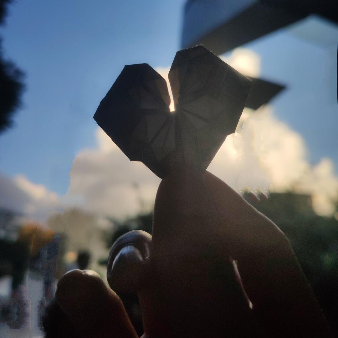 七夏港的菇凉