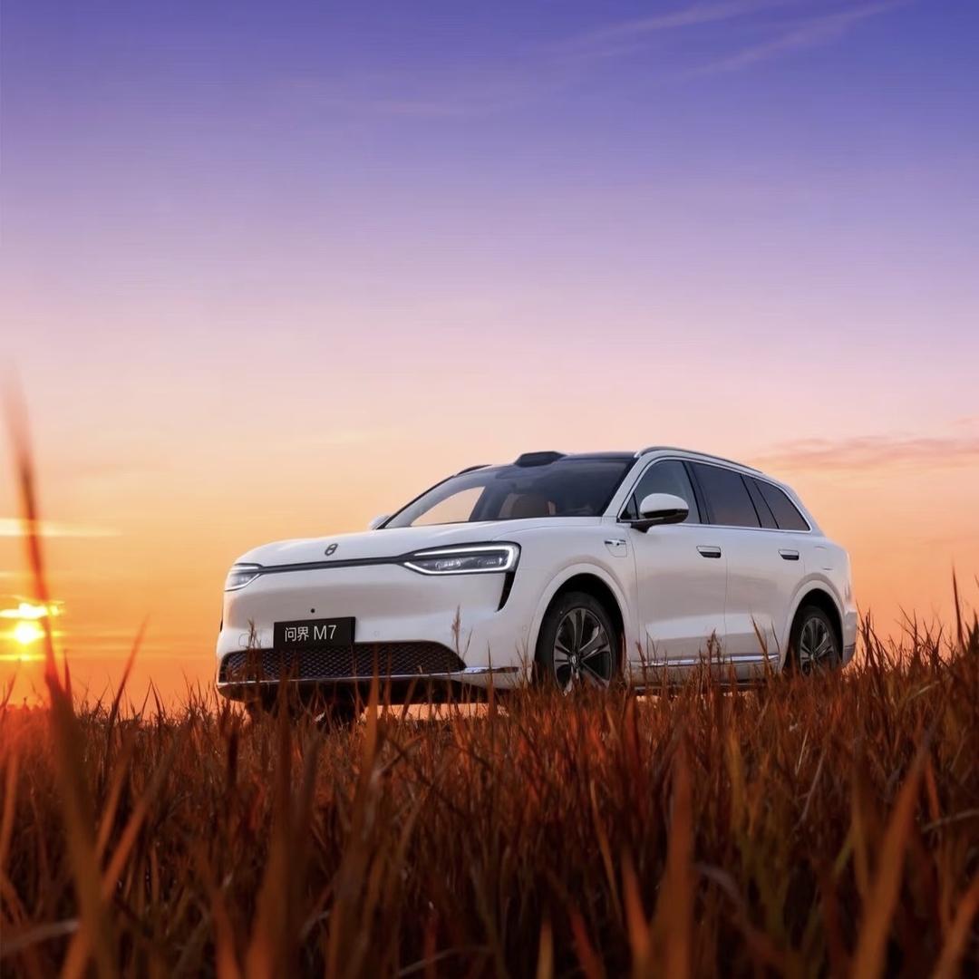 武汉中升汽车园