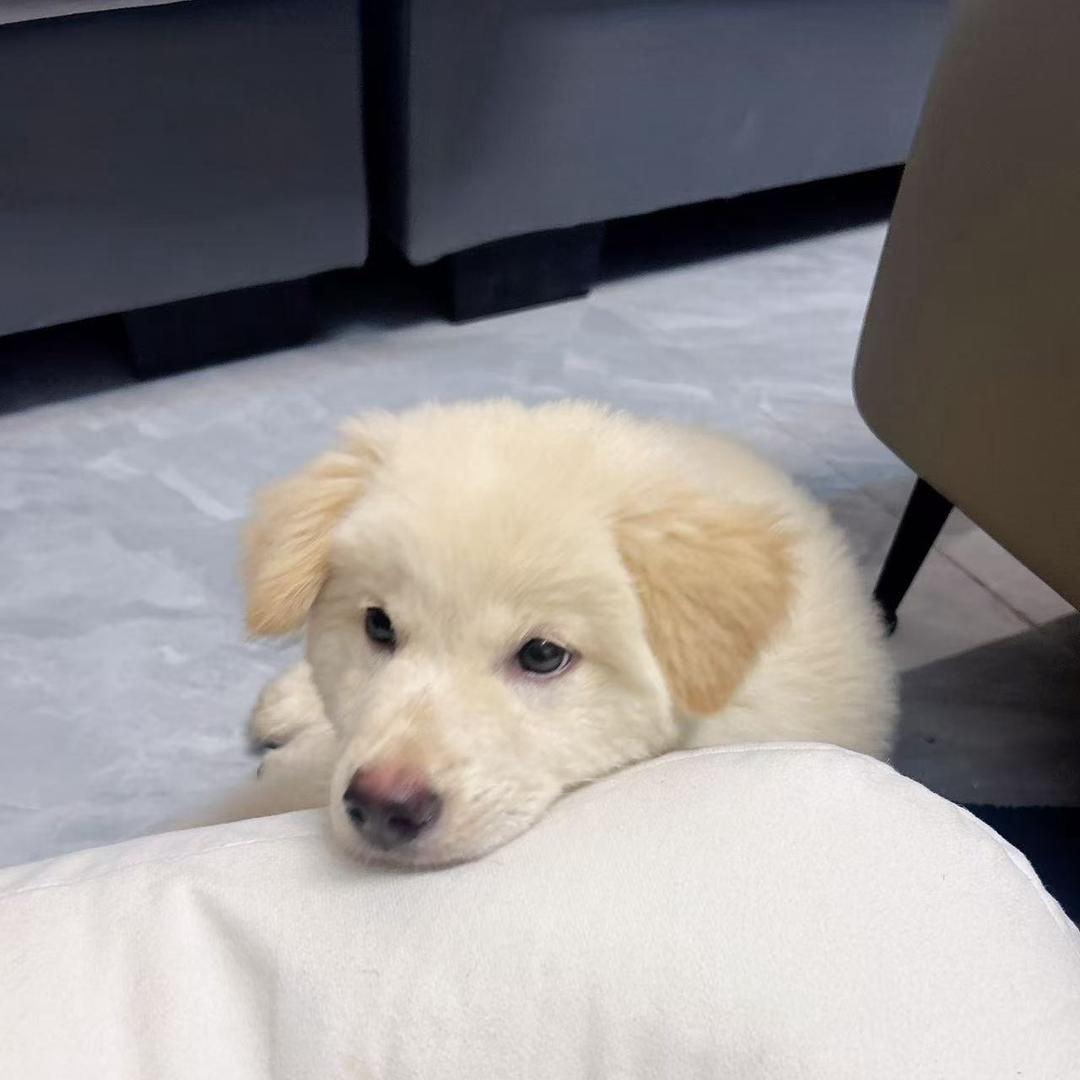 惠州最受欢迎男歌手