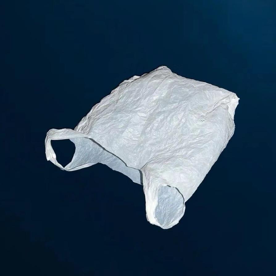 大风里的塑料袋