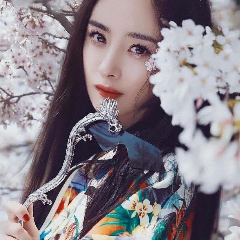 您好，您好