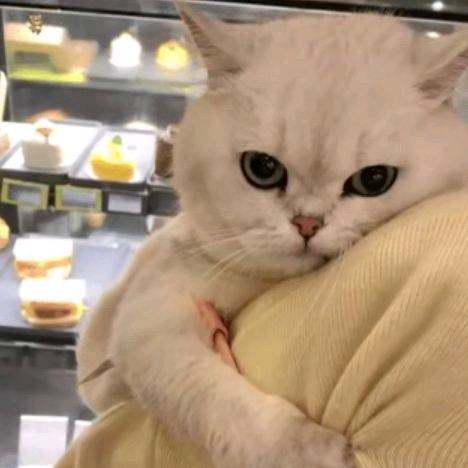 张柏澜(中韩第一青钢影)