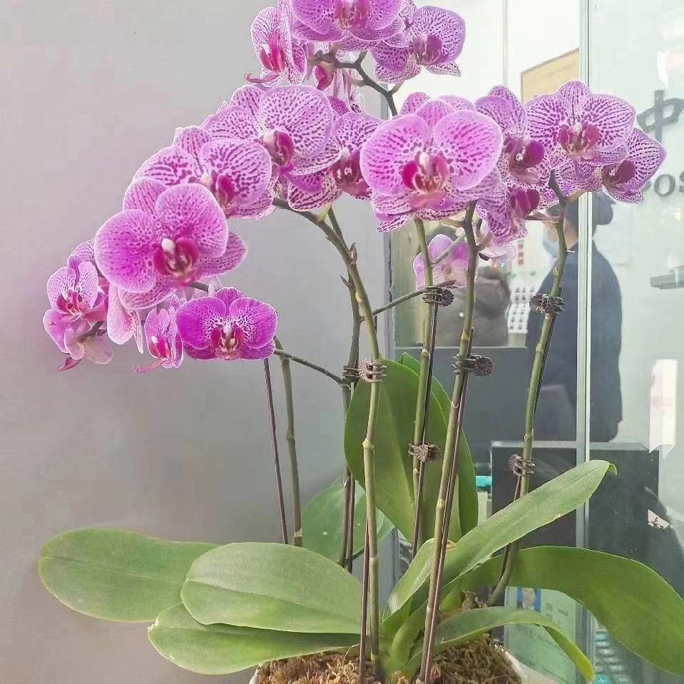 冻你非一日之寒