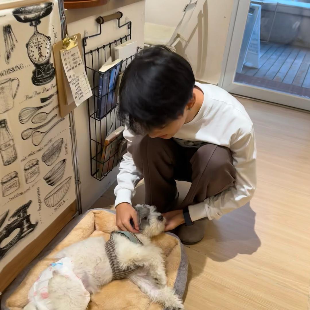 𝐰𝐥𝐢𝐚𝐧𝐠𝐲𝐮