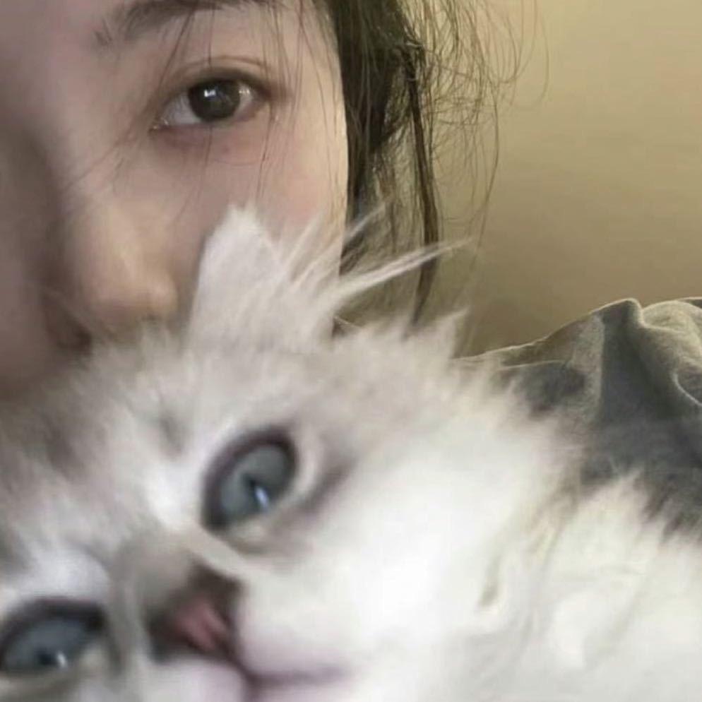 悦悦