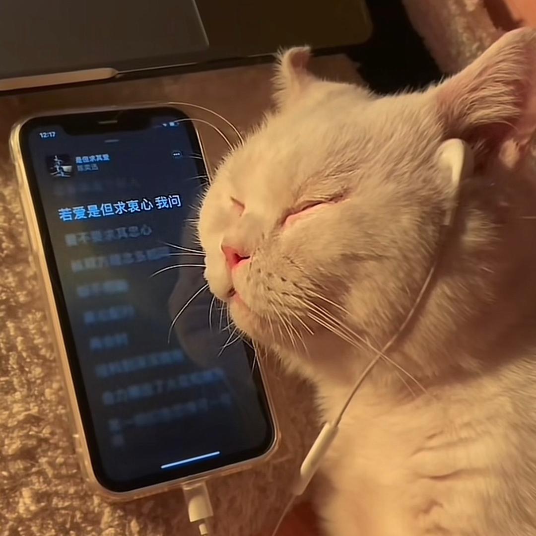 乔琪乔z