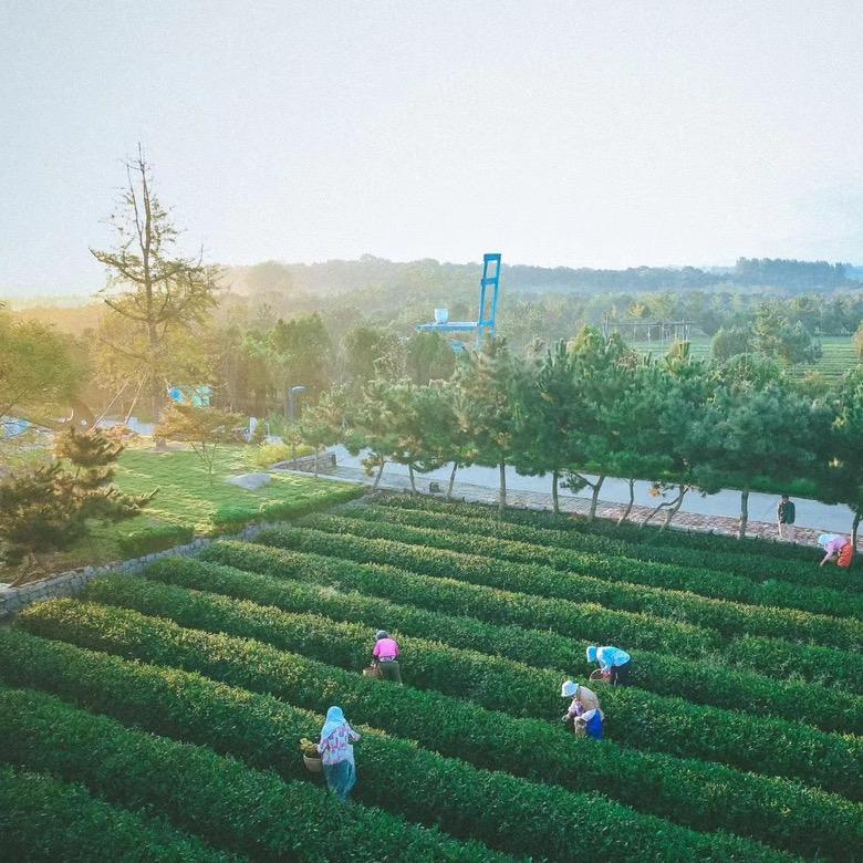 日照雲客海洋渔业主题民宿