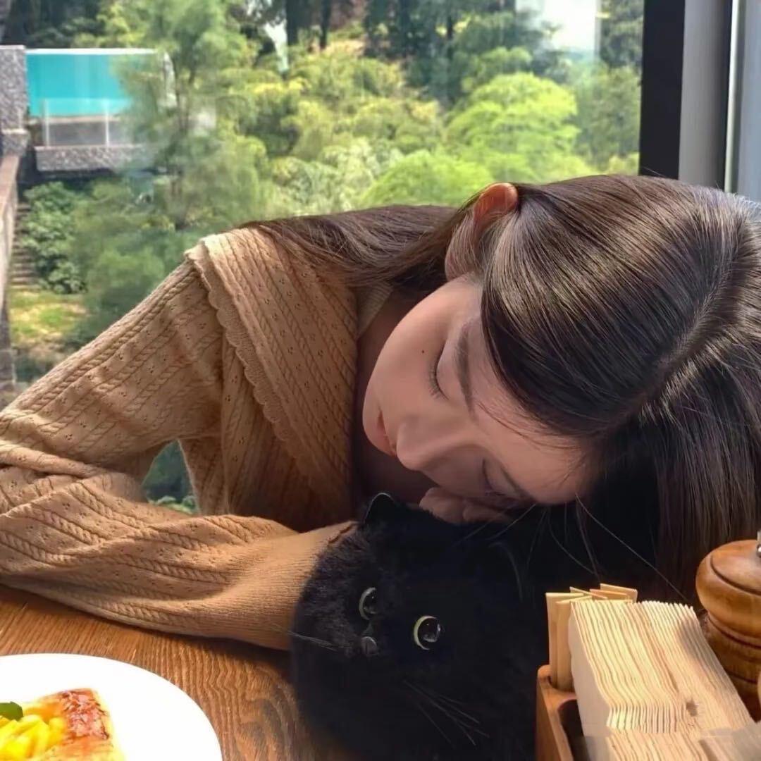 会火的金猪猪