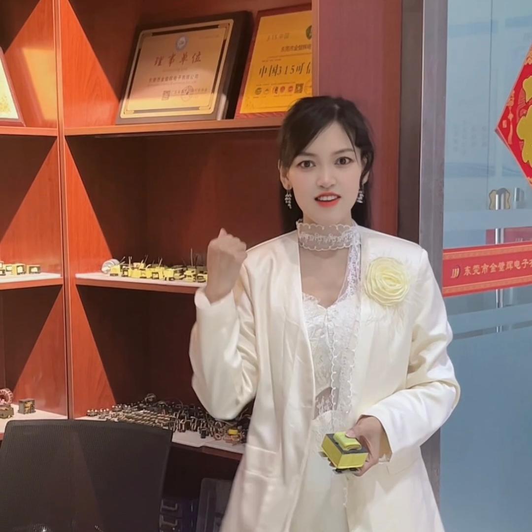 金璧辉变压器源头工厂