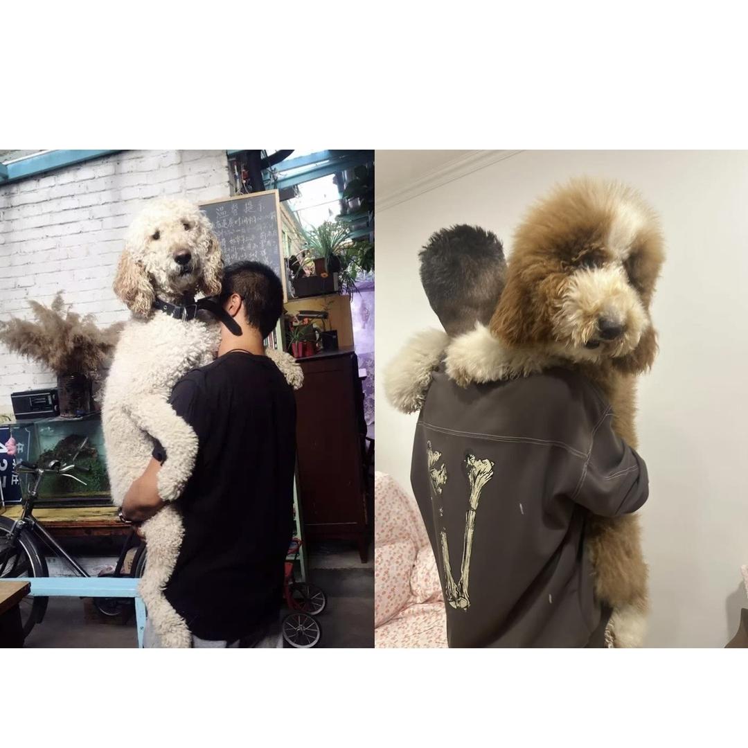 甘肃黄荷蜜商贸有限责任公司的小店