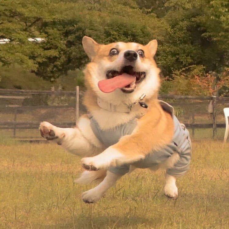 ·李