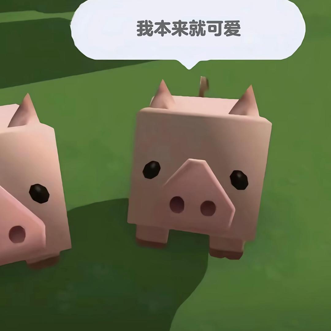 我要雾里看花