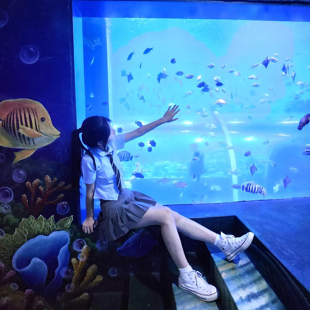 七七处处-泉洲海洋公园