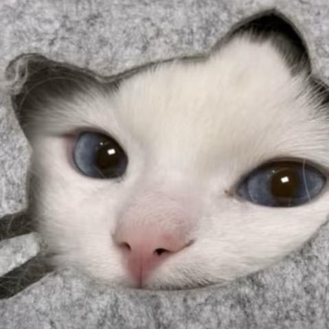 颗粒虫