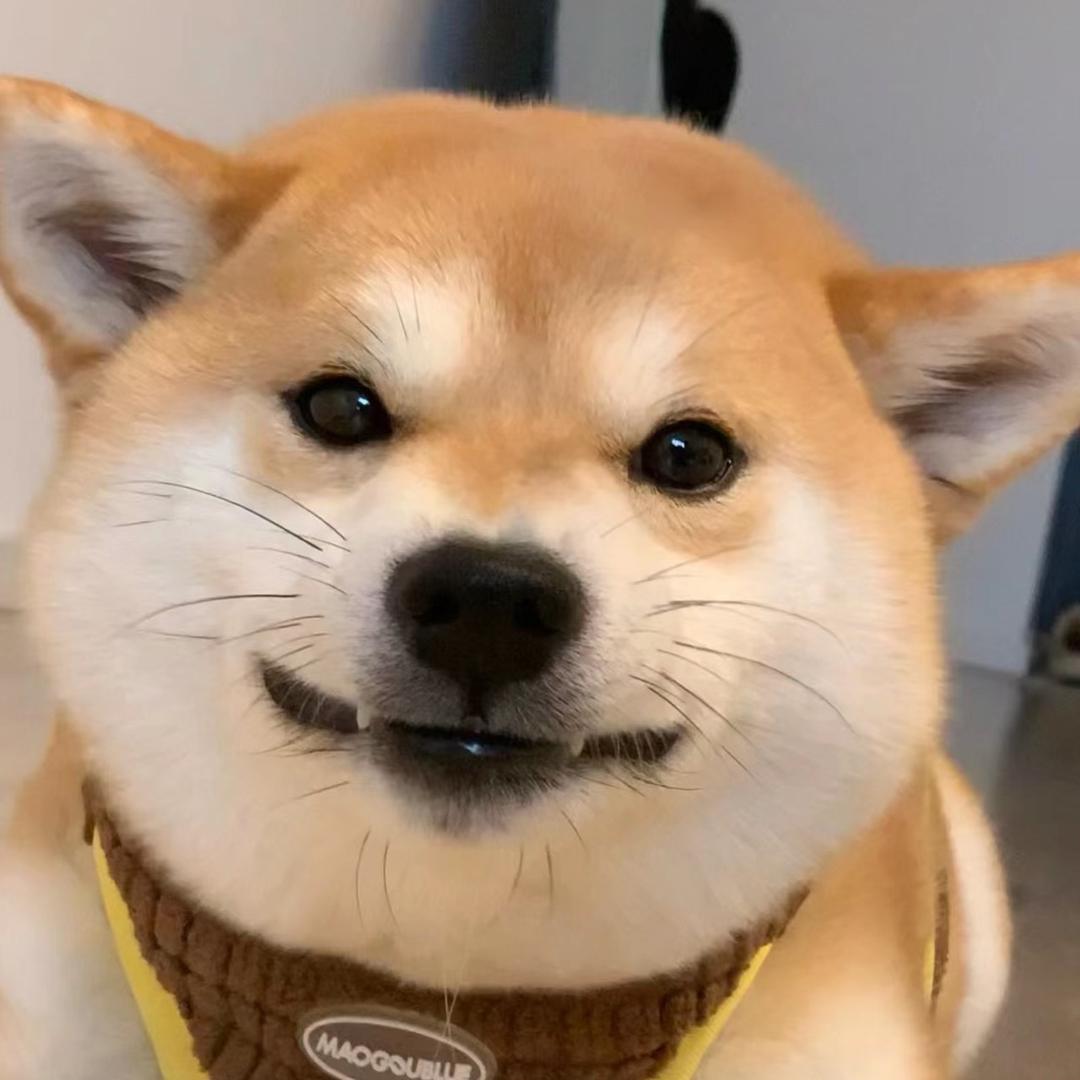 衣貳一