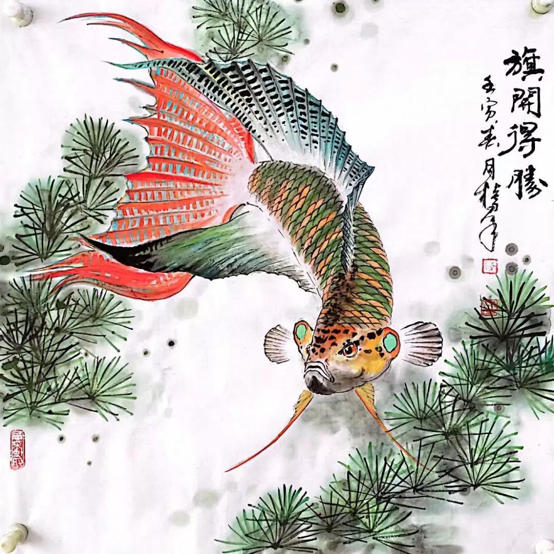 鑫曦国斗养殖场