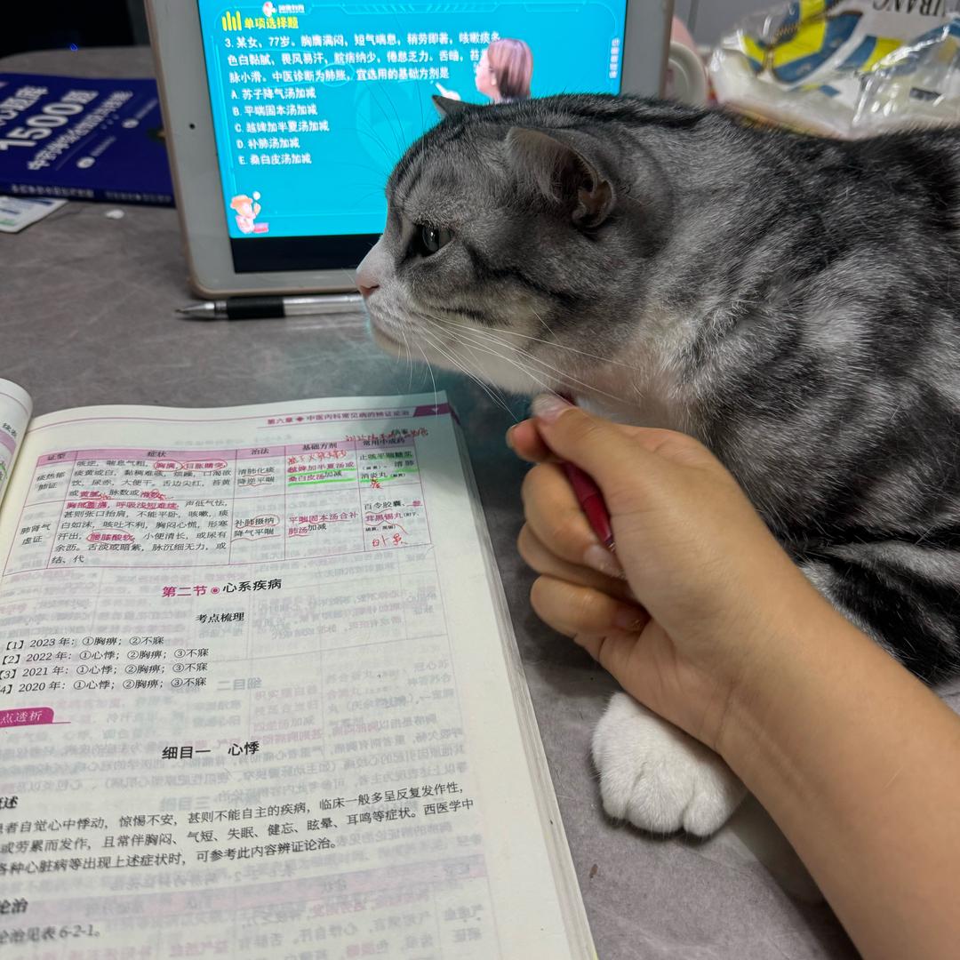 小姜半夏