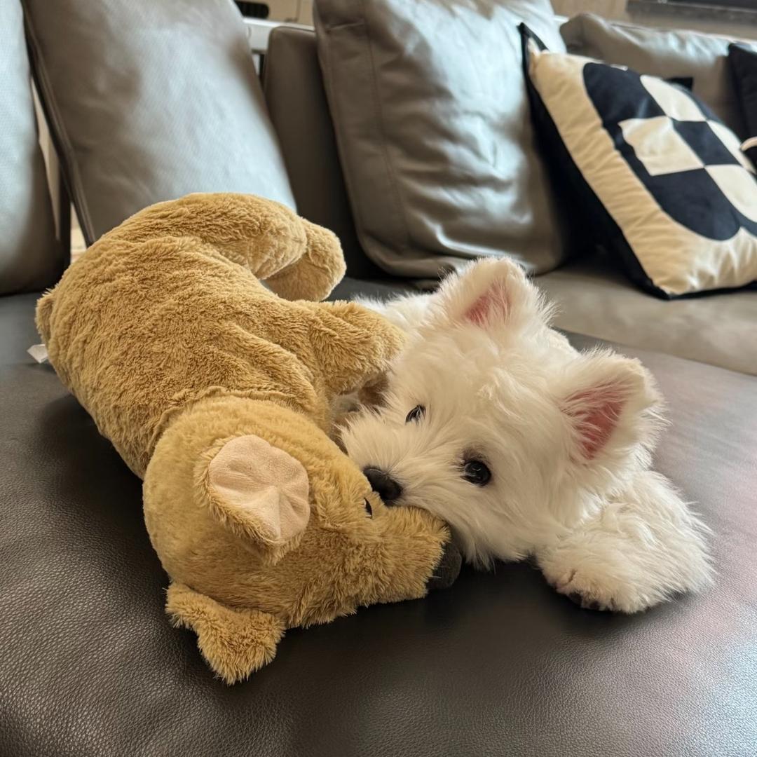 一觉睡到自然死