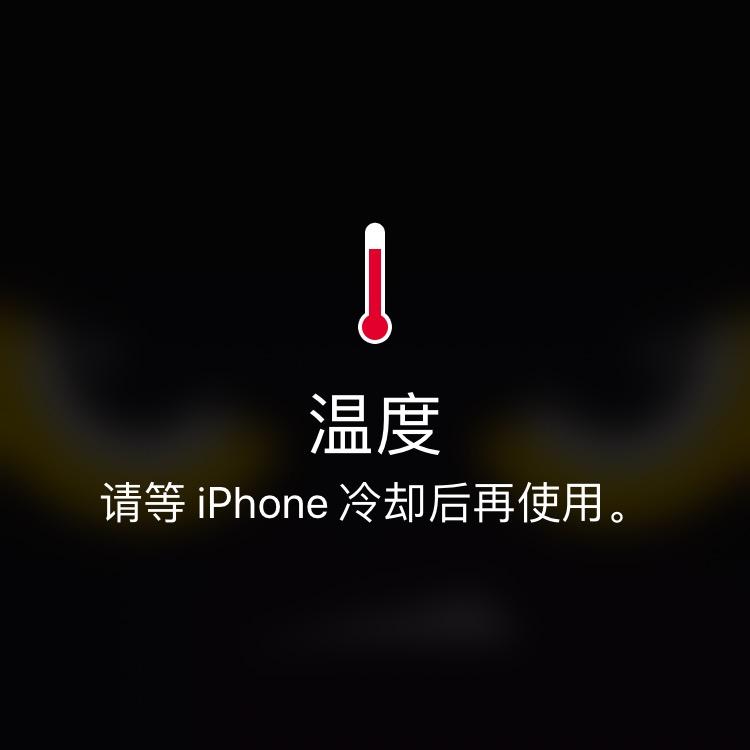 不舍