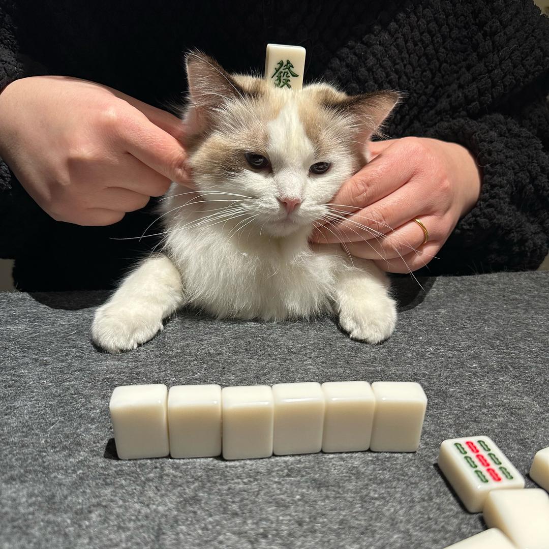 玉环液压工具生产厂家