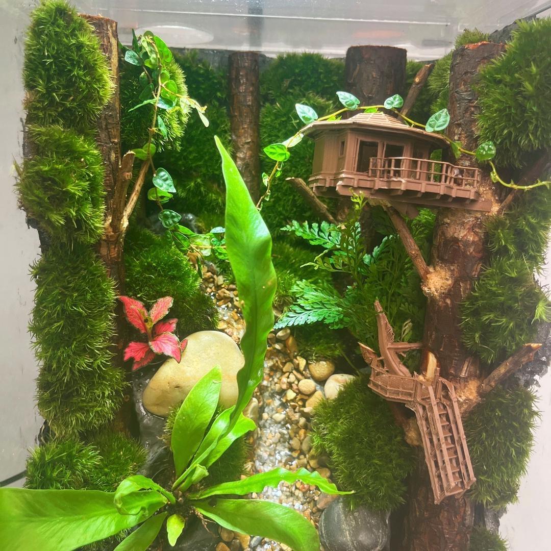 沐风桌面微景观