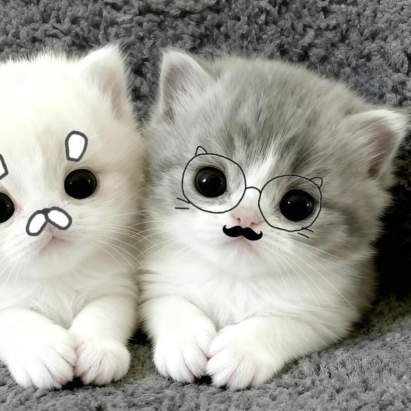 你眼角的湿润闻起来像爱