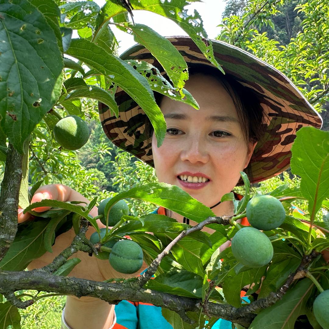 🔥舒姐美食🔥