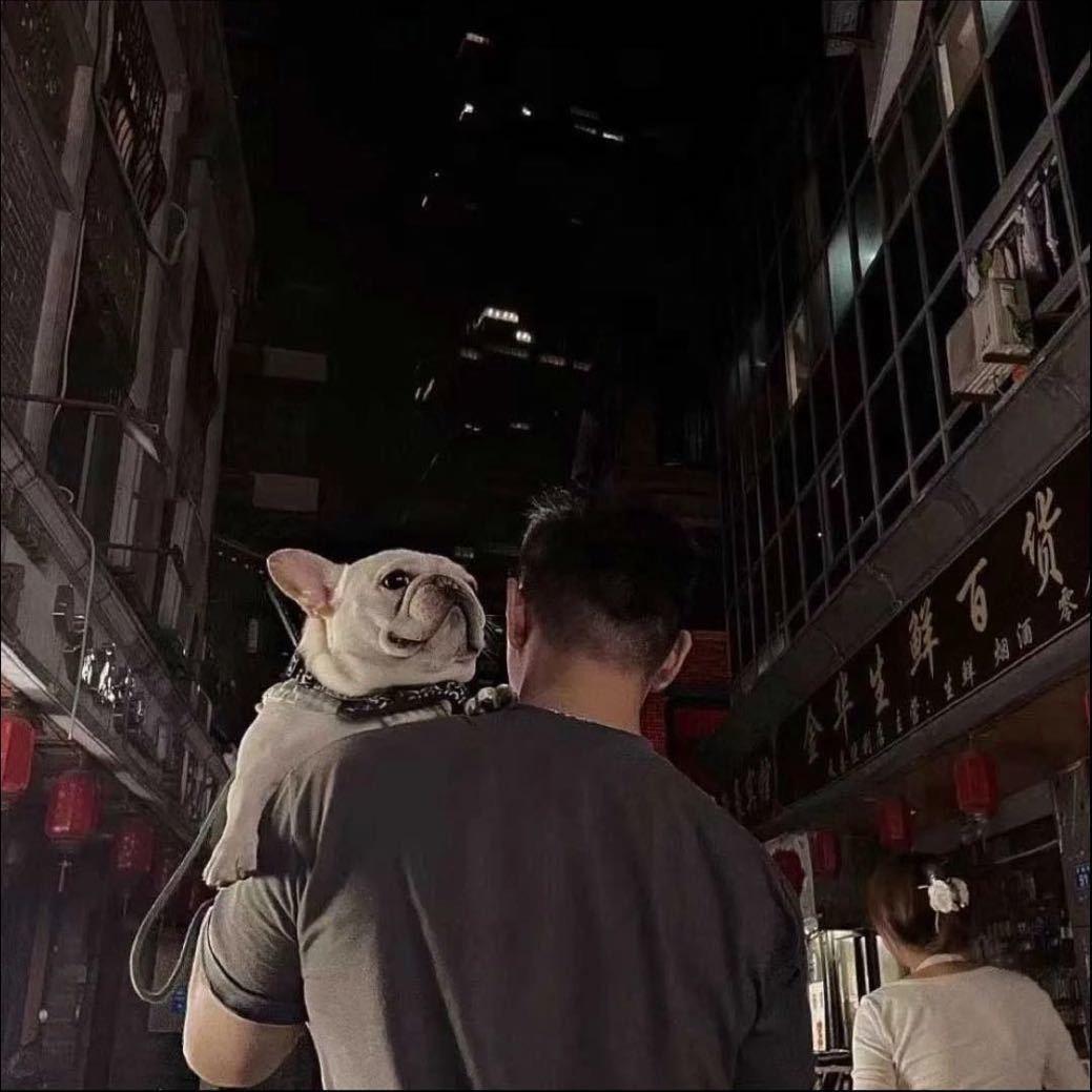 达那蛋