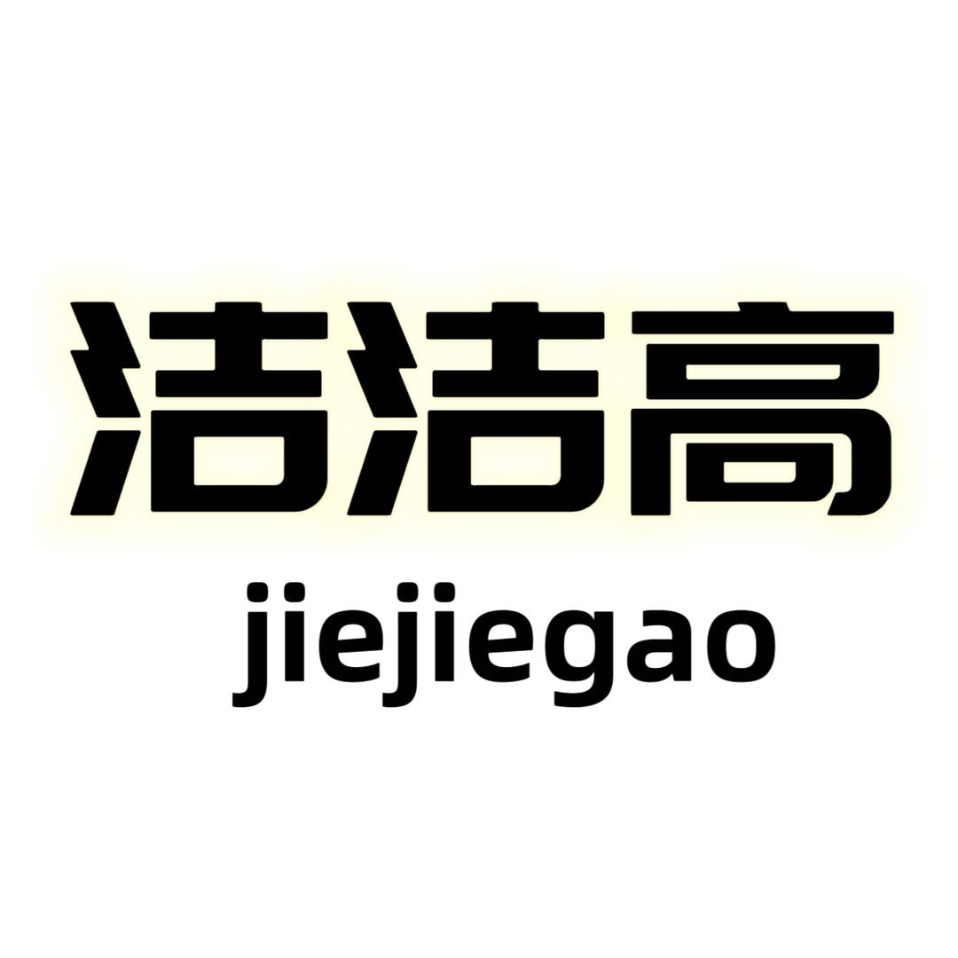 泸州市洁洁高家政