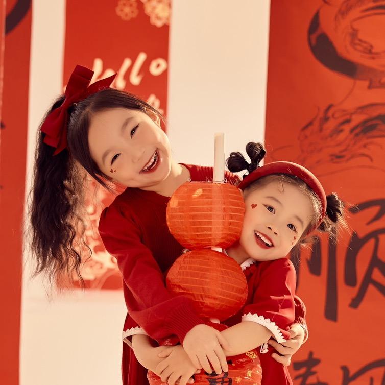 喜马拉雅山的猴子