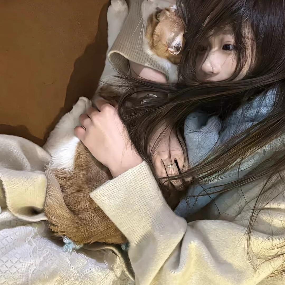 💤.
